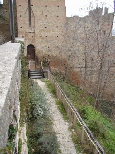 Vacanziero - CASTEL_ARQUATO